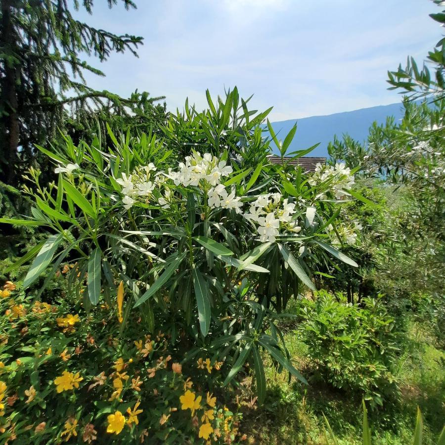 Le Lac Tresserve 외부 사진